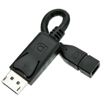 ACCL 6in DisplayPort Male to Mini DisplayPort Female Adapter Cable, Black