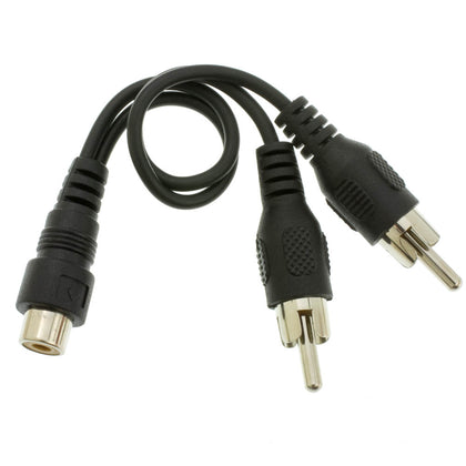 ACCL 6in RCA Female to Dual RCA Male Splitter/Adapter
